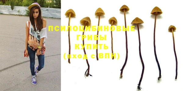 таблы Аркадак