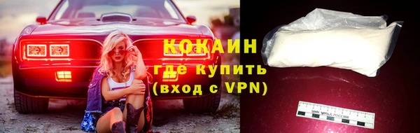 твердый Арсеньев