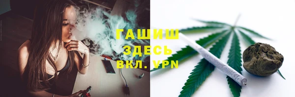 твердый Арсеньев