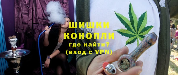 твердый Арсеньев