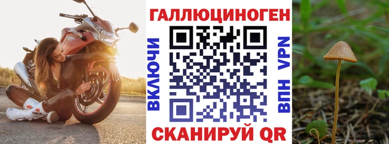 Галлюциногенные грибы MAGIC MUSHROOMS  Чебаркуль 